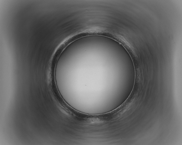 X0000113100392200909041230