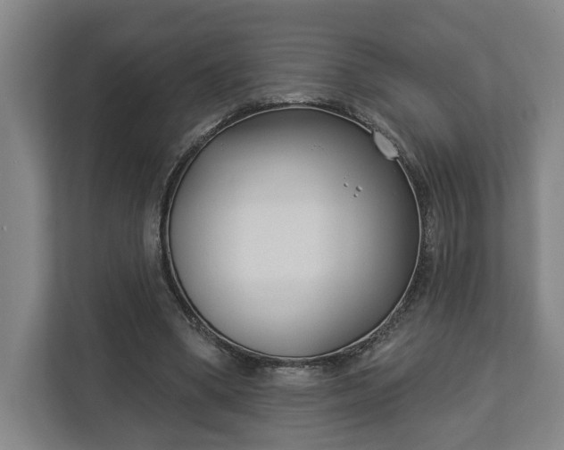 X0000113100394200909041230