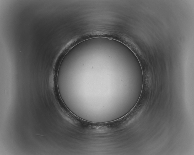 X0000113100395200909041230