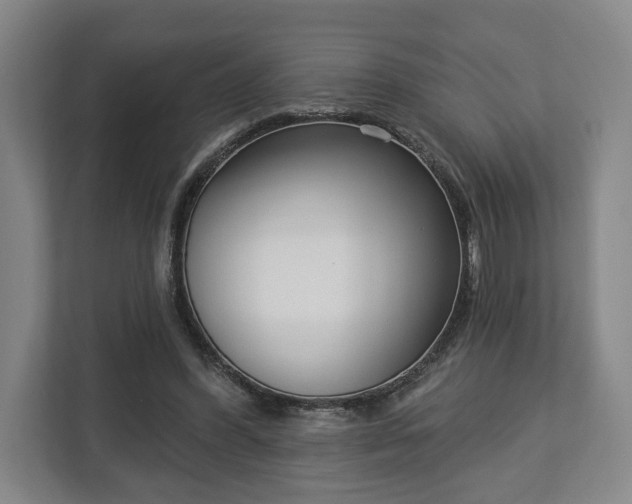 X0000113100396200909041230