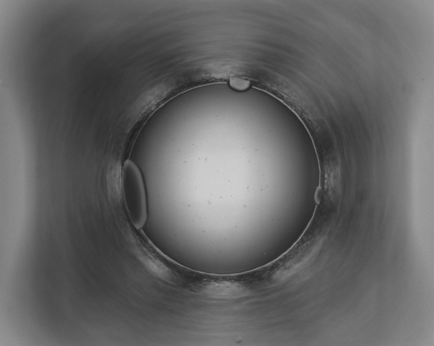 X0000113100397200909041230