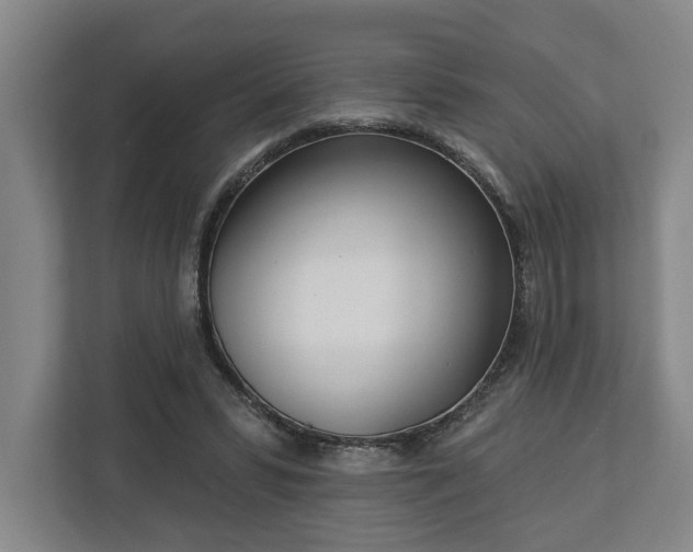 X0000113100399200909041230