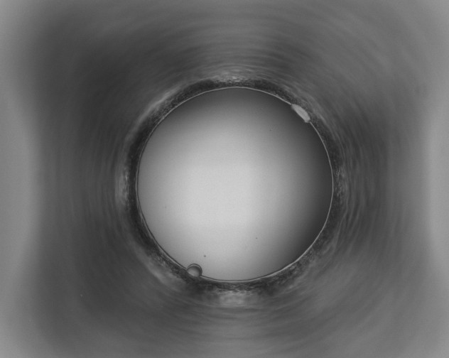 X0000113100400200909041230