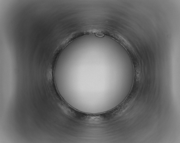 X0000113100401200909041230