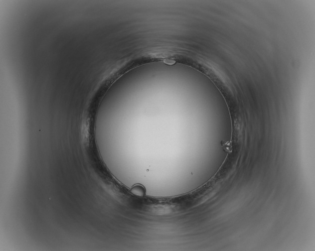 X0000113100404200909041230