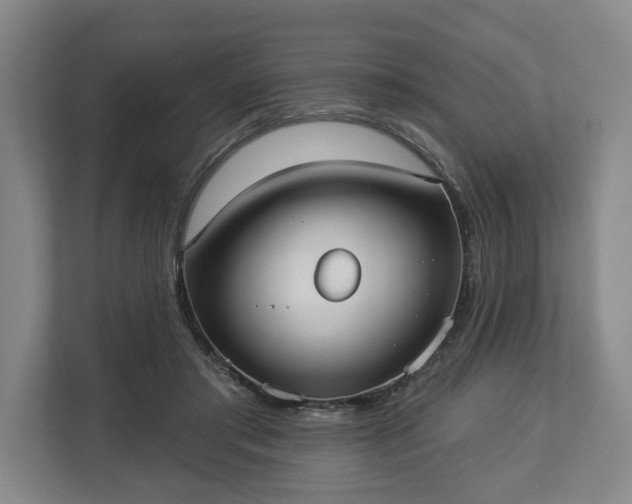 X0000113100405200909041230