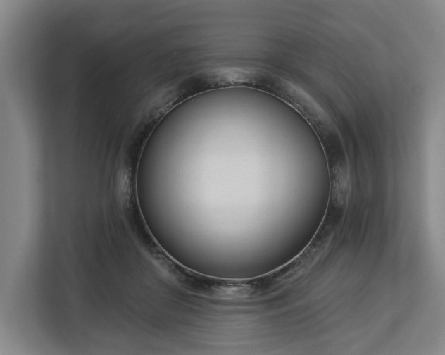 X0000113100410200909041230