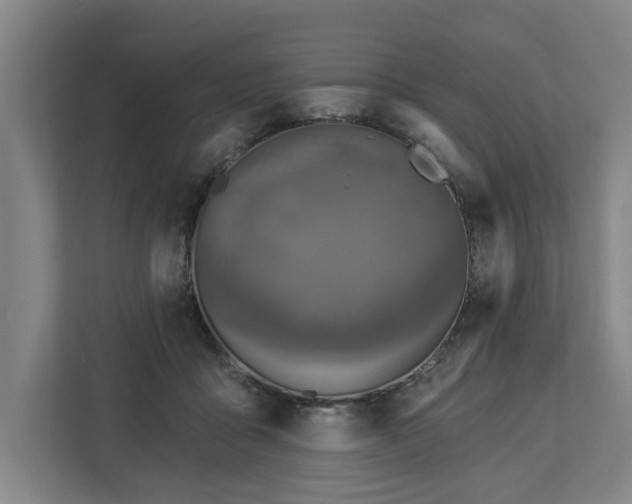 X0000113100411200909041230