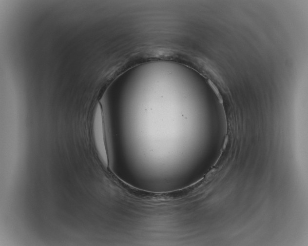 X0000113100415200909041230