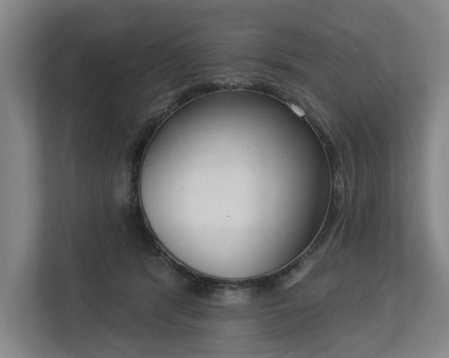 X0000113100416200909041230