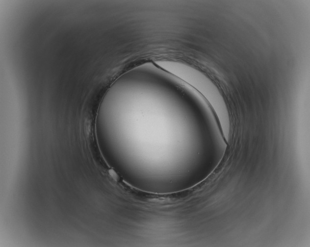 X0000113100417200909041230