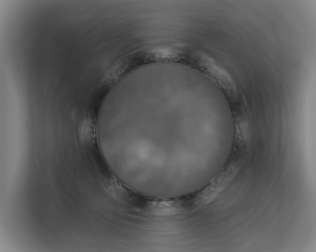 X0000113100419200909041230