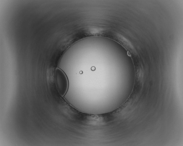 X0000113100421200909041230