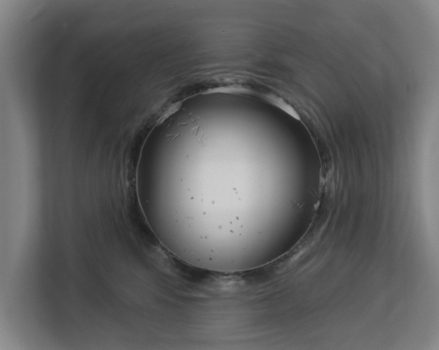 X0000113100424200909041230