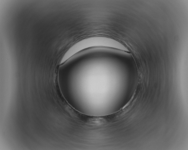 X0000113100427200909041230
