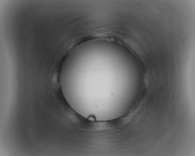 X0000113100428200909041230