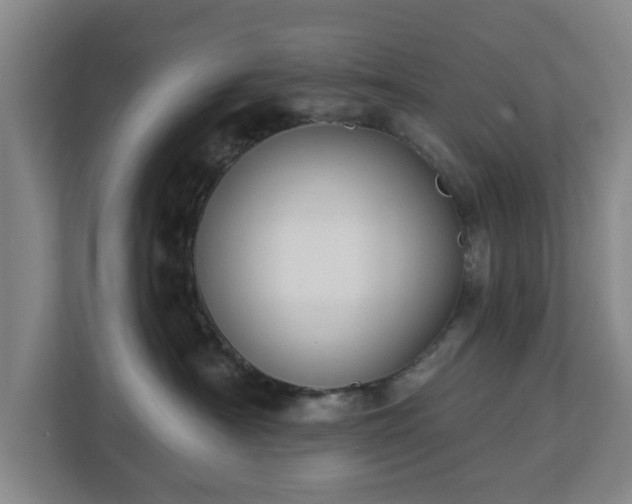 X0000113100430200909041230