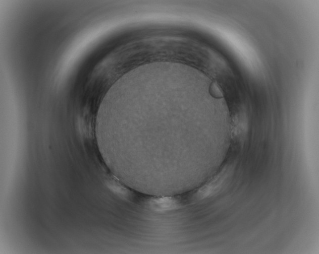 X0000113100431200909041230
