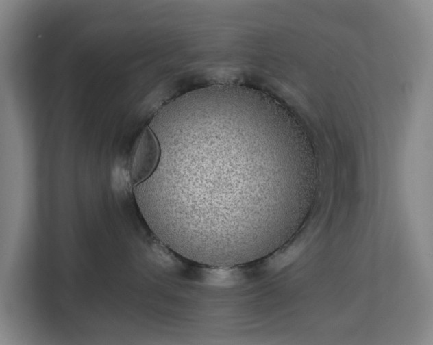 X0000113100432200909041230