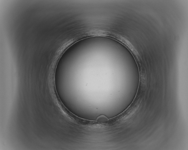 X0000113100433200909041229