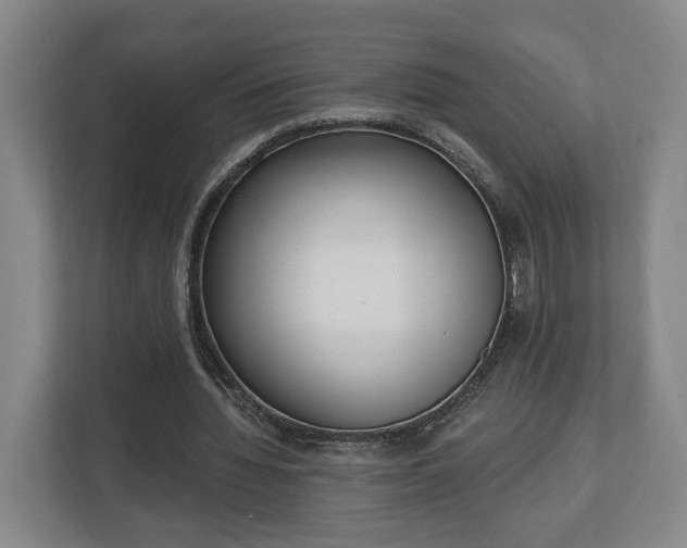 X0000113100436200909041229