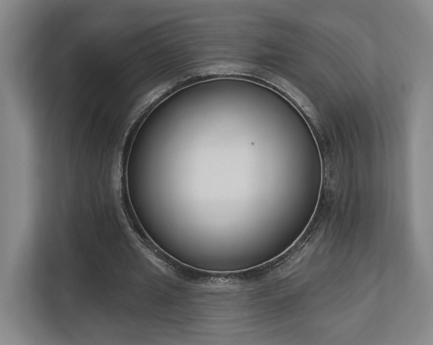 X0000113100437200909041229