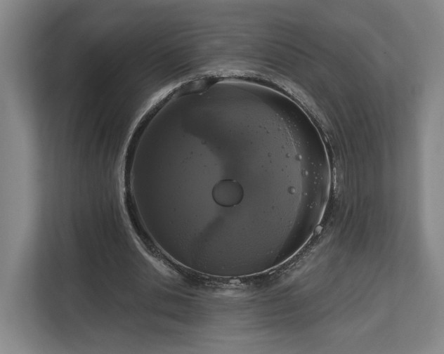 X0000113100438200909041229