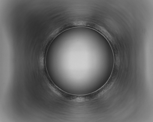 X0000113100441200909041229