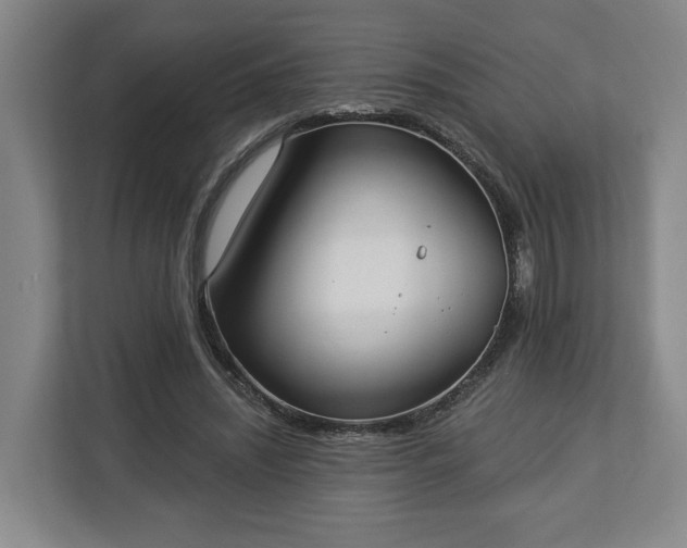 X0000113100444200909041229