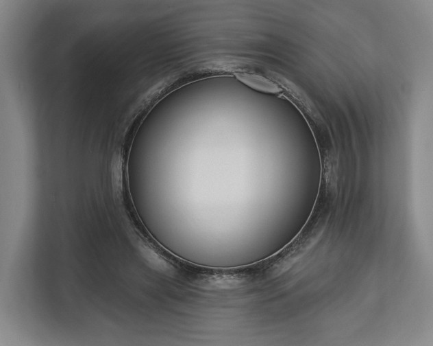X0000113100445200909041229