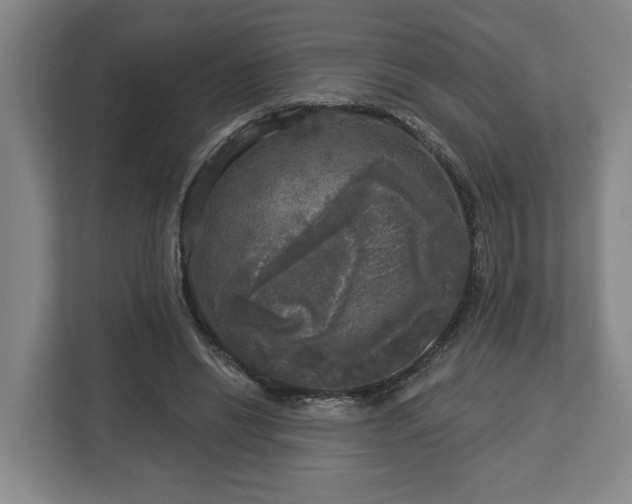 X0000113100446200909041229