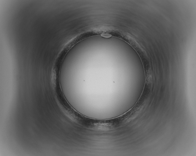 X0000113100448200909041229
