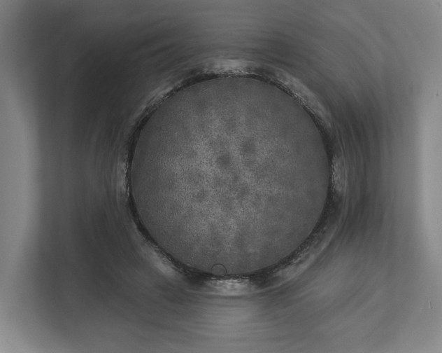 X0000113100449200909041229
