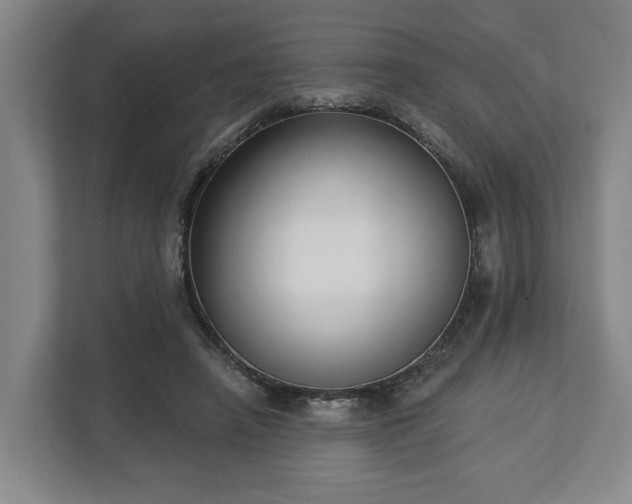 X0000113100450200909041229