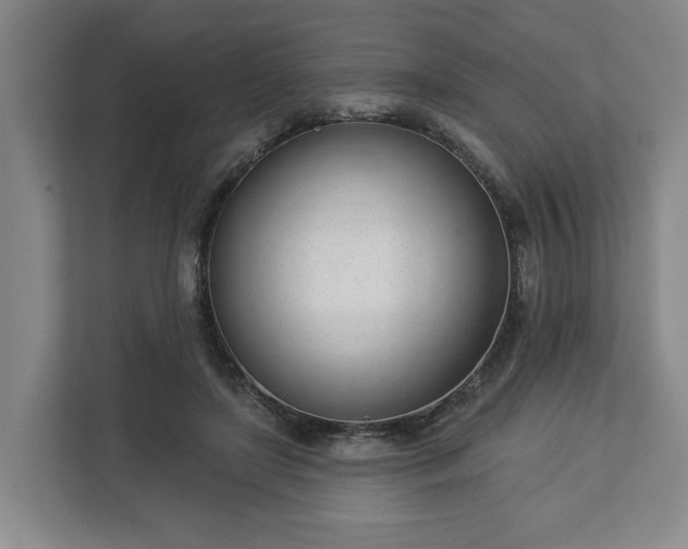 X0000113100451200909041229