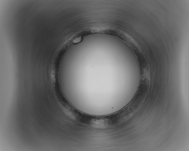 X0000113100452200909041229