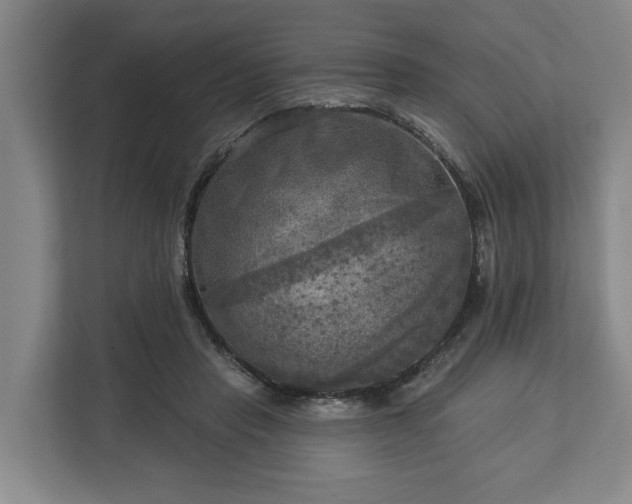 X0000113100453200909041229