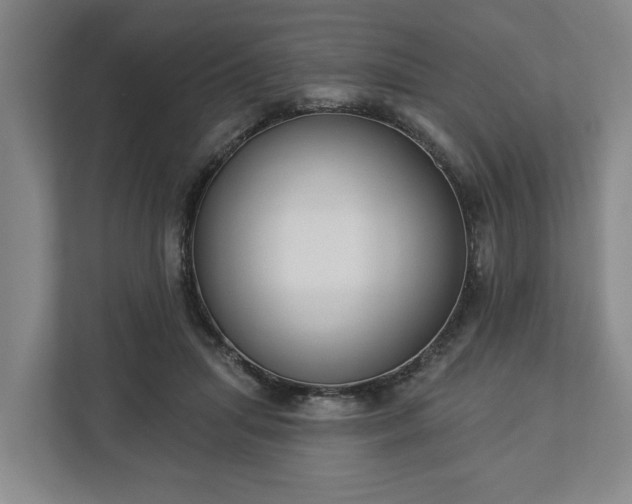 X0000113100455200909041229