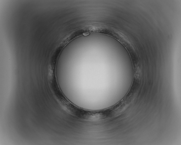 X0000113100456200909041229
