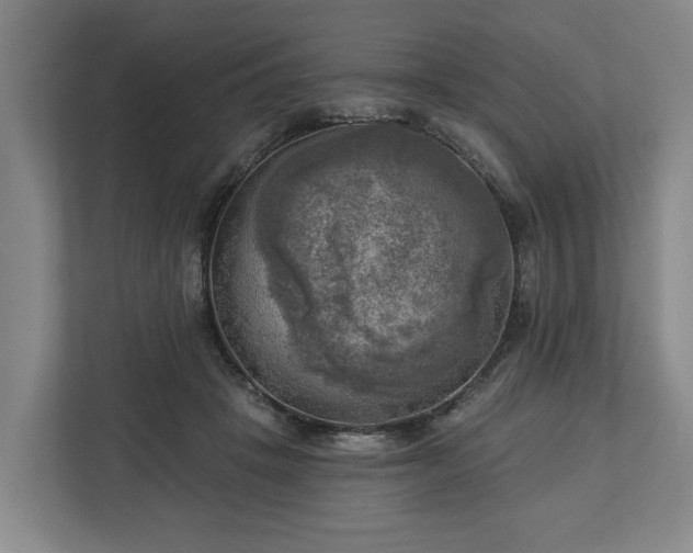 X0000113100457200909041229