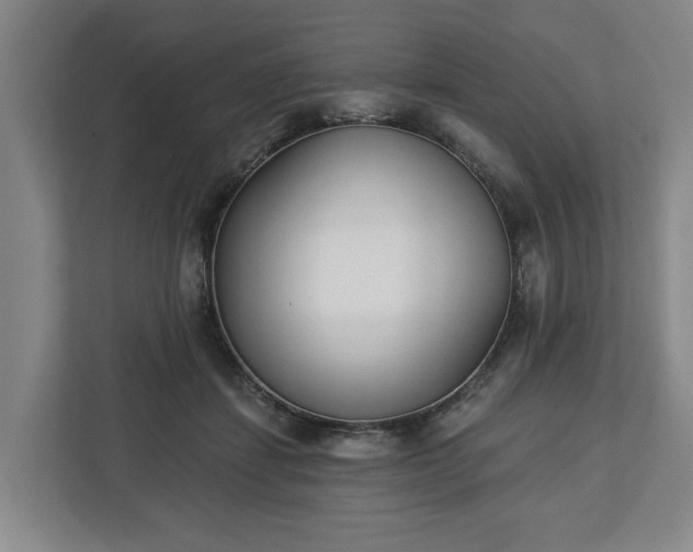 X0000113100459200909041229