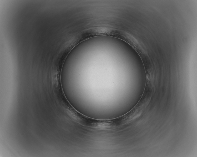 X0000113100462200909041229
