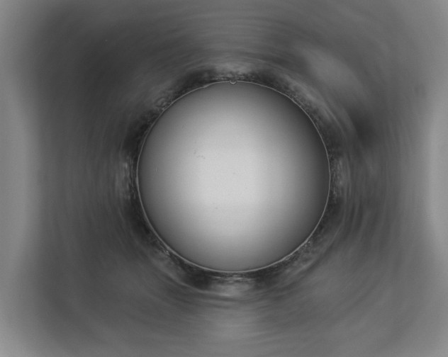 X0000113100463200909041229