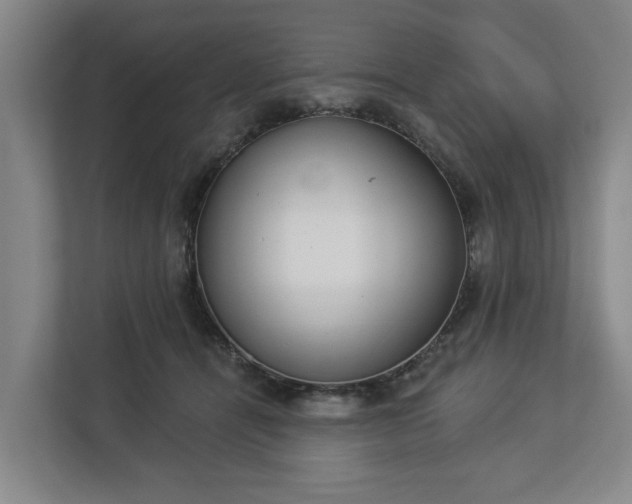 X0000113100464200909041229