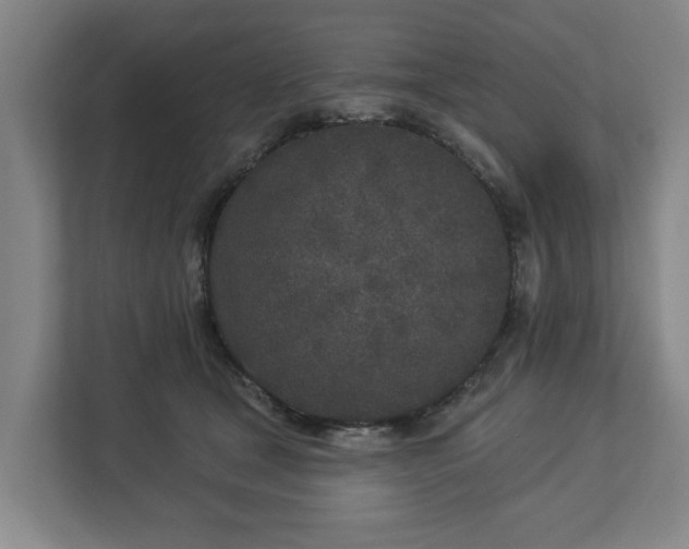 X0000113100465200909041229