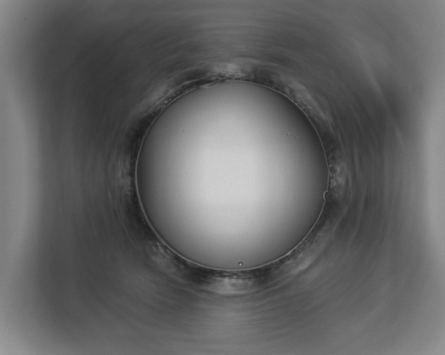 X0000113100466200909041229