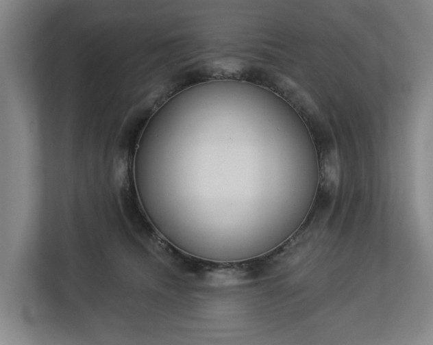 X0000113100468200909041229