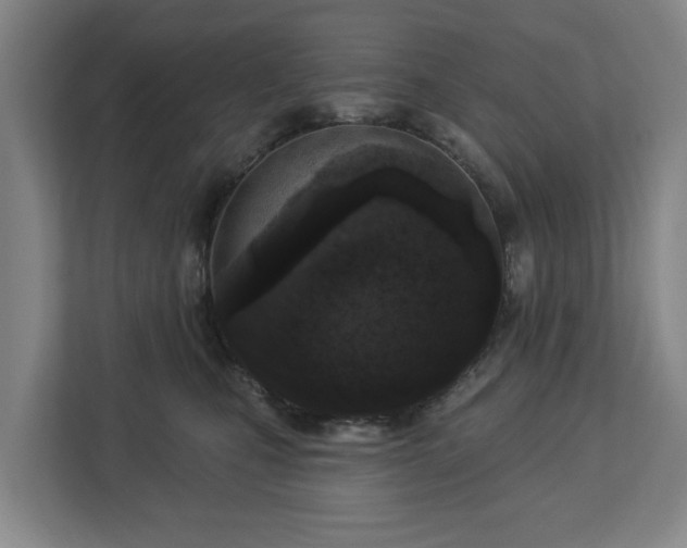 X0000113100471200909041229