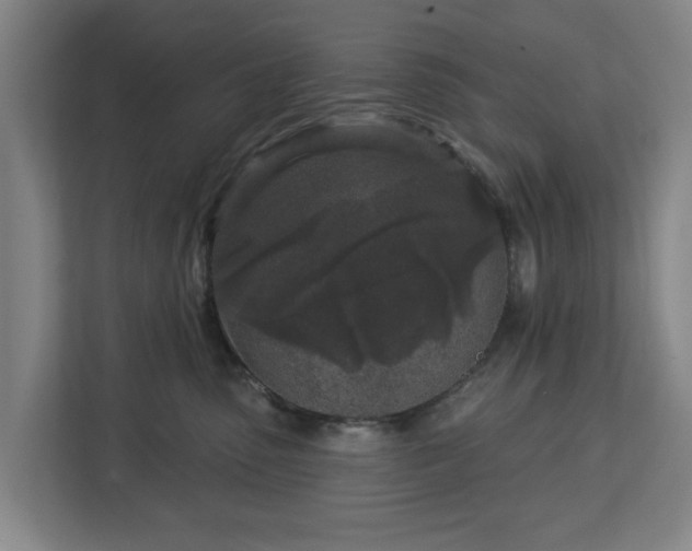 X0000113100475200909041230