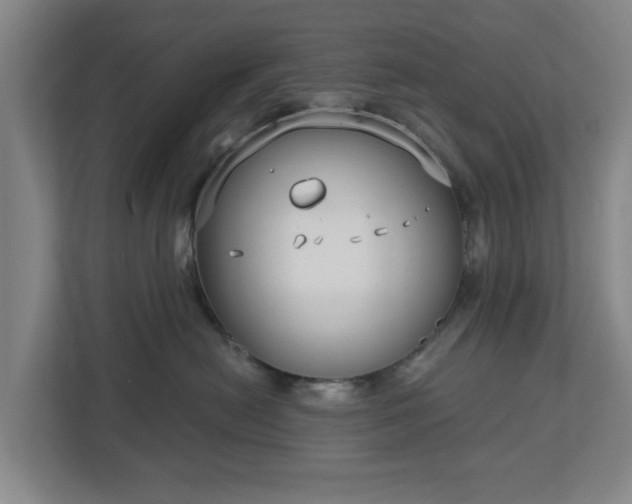 X0000113100478200909041230